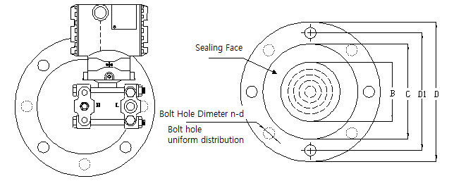 Flange Specification of Capacitance Level Transmitter