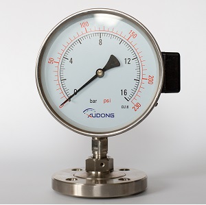 Flush Flanged diaphragm Seal Pressure Gauge