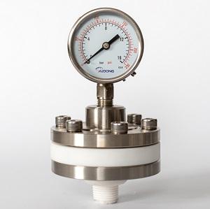 PTFE  Diaphragm Seal Pressure Gauge