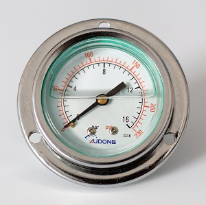 Glycerine Filled Pressure Gauge