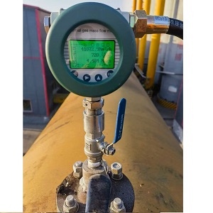 Biogas flow meter