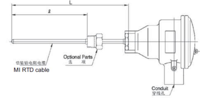 temperature transmitter