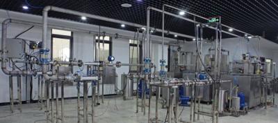Coriolis Mass Flow Meter used in Food Industry