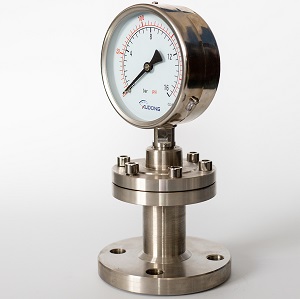 Diaphragm Seal pressure gauge