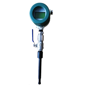 Thermal mass flow meter for corrosive gas