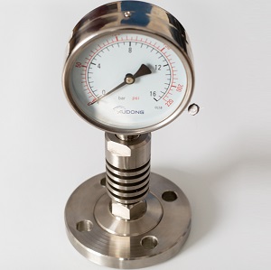 Chemical Seal Pressure Gauge