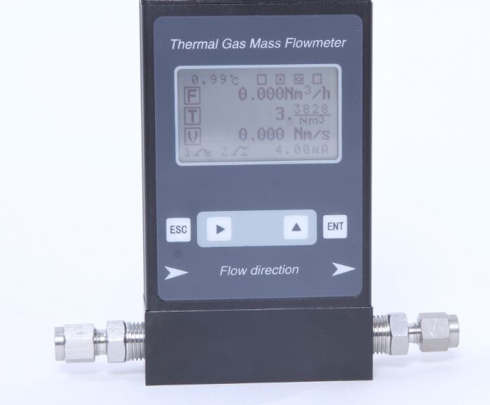 Thermal mass flow meter