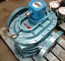Oval Gear Flow Meter: Robust Precision for Fuel Oil Measurement