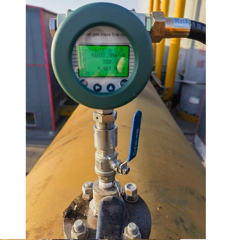 Biogas Flow Meter