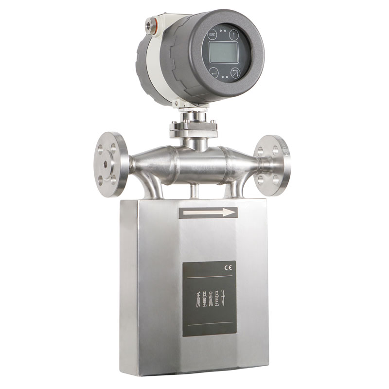 In line Coriolis type flow meter for natural gas