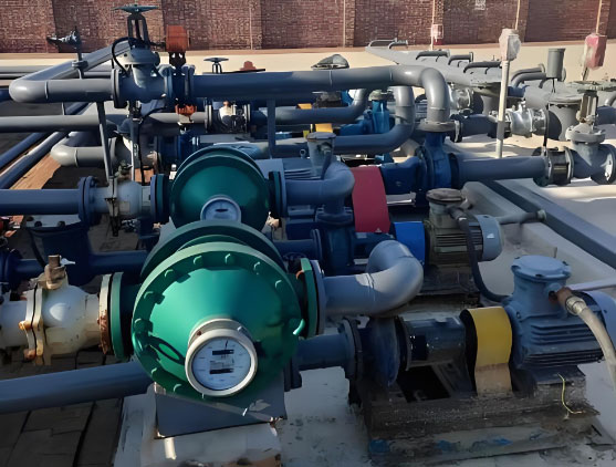 Oval gear flow meter for diesel measurement