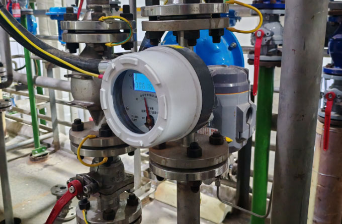 DN25 Metal Tube Rotameter for Ultrapure Water