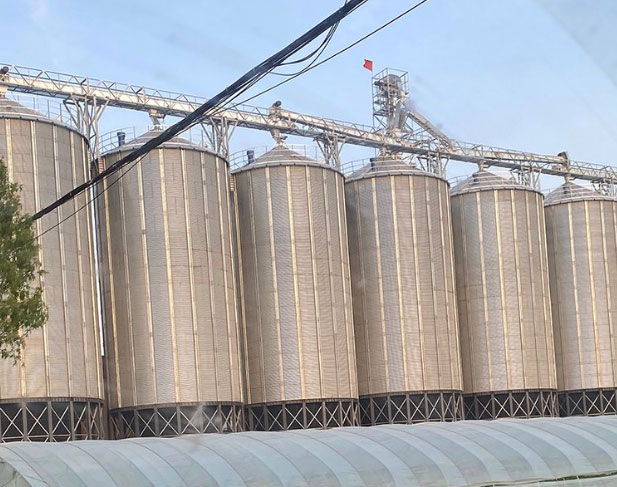 Wheat and Flour Silos level measurement