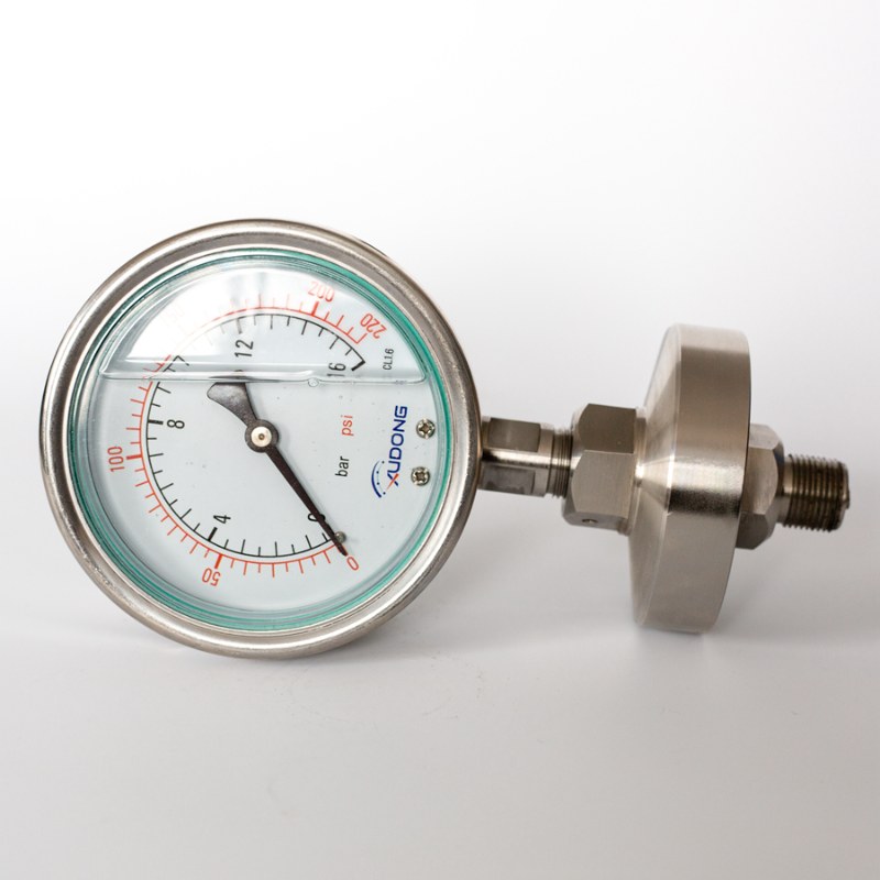 diaphragm pressure gauge china