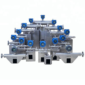 Coriolis Mass Flow Meter
